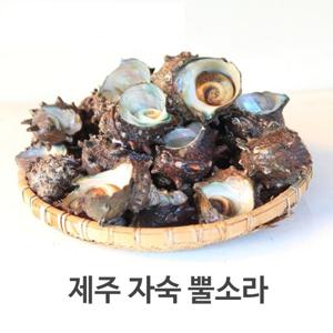 서귀포수협 제주 자숙 뿔소라 500g/1팩