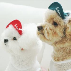 유아러피치 팔레트스냅백 _강아지모자 애견스냅백