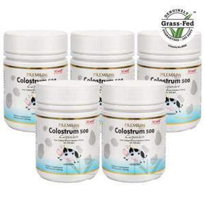 하이웰 프리미엄 초유 500 120캡슐 5개