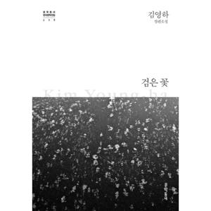 문학동네 검은꽃 - 김영하 장편소설 (개정판)