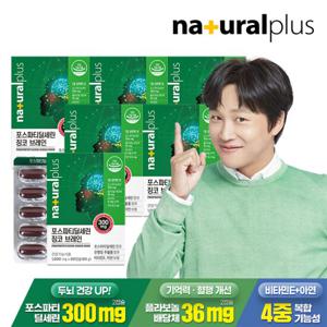 내츄럴플러스 포스파티딜세린 징코브레인 6박스(6개월분) / 기억력