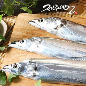 [제주어멍] 제주 은갈치 160g x 10마리(30토막)
