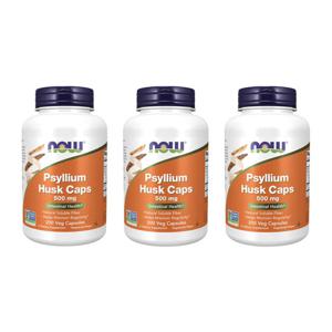 3개X  나우푸드    실리엄  허스크  차전자피  500mg  200캡슐