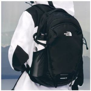 노스페이스 어센드 엘티 20 백팩 NM2SQ10A
