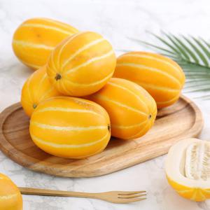 [다농이네] 로얄과 성주 참외 3kg 9-15과/가정용