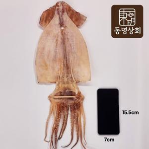 [동명상회] 구룡포 해풍건조 대왕 마른오징어 5마리 (750g내외)