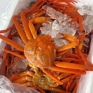 [해담]당일조업 속초홍게 자숙홍게 3kg(7-9미) 수율 90% 내외 A급 산지직송