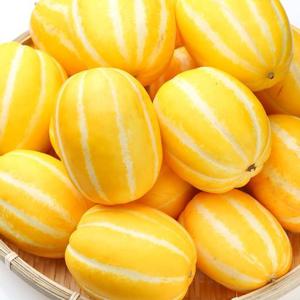 [산지직송] 제철과일 성주 참외 2kg(5-11과)