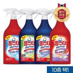 홈스타 맥스프레쉬 주거세제 (욕실/주방/뿌리는곰팡이/착붙는락스) 900ml x 4개 (택1)