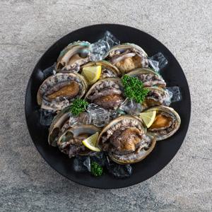[청진수산]어부가 보내드리는 인증받은 활전복 왕특대사이즈 14미(마리당 100g~120g) 총 1.4kg이상