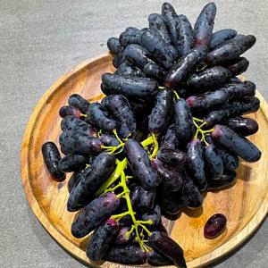 블랙사파이어 포도 1kg~2kg 가지포도 씨없는 포도