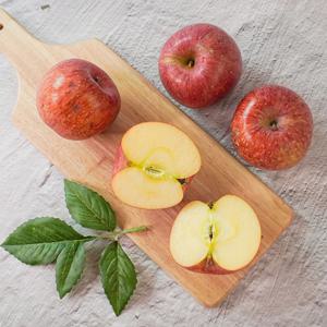 [더조은] 알뜰 꿀사과 부사사과 3kg 흠과 6-9과