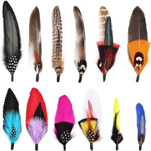 다채로운 공작 깃털 10-12 Pcs DIY 공예 페도라 카우보이 파티 모자에 대 한 자연 진짜 깃털