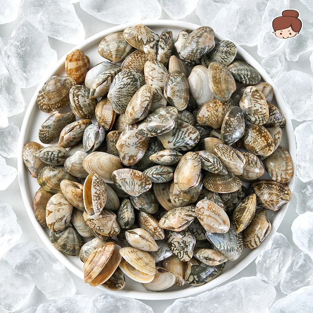 해감된 냉동 자숙 피바지락 500g 1+1 총 2봉