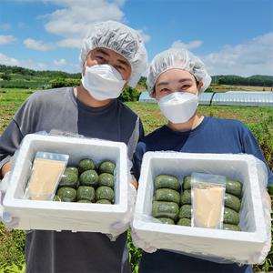 직접 농사지은 해남 쑥떡 쑥인절미 + 국산 콩고물 100g