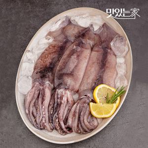 깔끔하게 손질된 손질 오징어 1kg 外 마리별