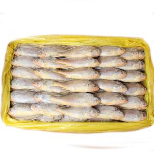 참조기 1박스 61~63 마리내외 3.5kg
