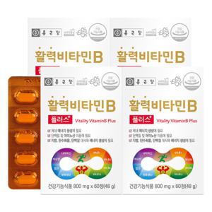 종근당 활력 비타민B 플러스 60정 4박스 8개월분 / 8중 복합기능성 비타민비