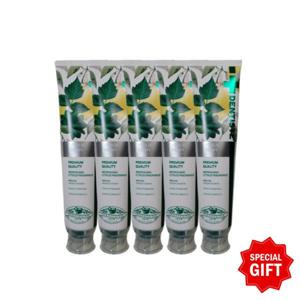 덴티스테 시트러스 후레쉬 불소치약 200g x 5개 + GIFT