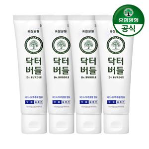 유한양행 닥터버들 잇몸케어 치약 100g x 4개