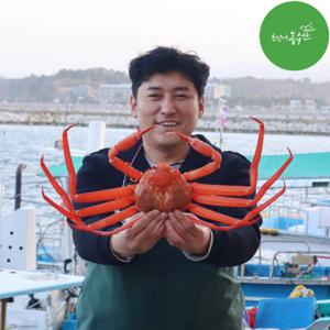최고다농수산 홍게  붉은대게 제철/ 정품 활홍게 2kg내외(자숙)