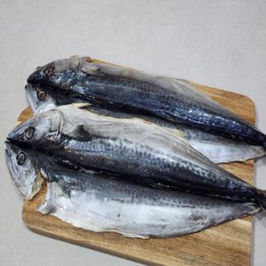간편조리 국내산 삼치 35cm 내외 1미 깔끔 손질완료 자연산 삼치 생선구이 에어프라이어 간단요리