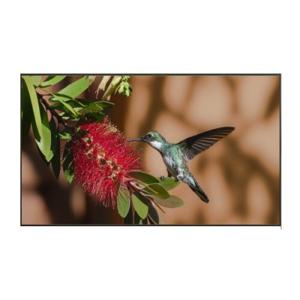 1등급 LG 4K UHD LED TV 75UT8300NNA 벽걸이형  바름(지역별상이)