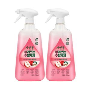 자연퐁 뿌려쓰는 주방세제 애플향 용기형 750ml 2개