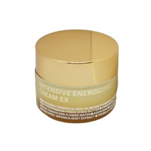 아이소이 인텐시브 에너자이징 크림 EX 60ml