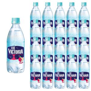 빅토리아 자두 탄산음료 500ml 20개