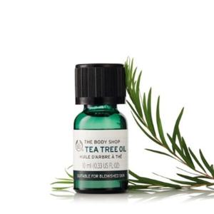 대구백화점 더바디샵티트리 오일 10ml