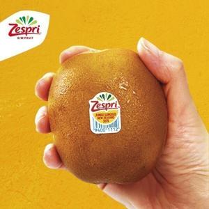 (신선집중) 20%+9%/ 제스프리 골드키위 슈퍼점보과 3.4kg (22입/개당 155g내외) 한정수량특가