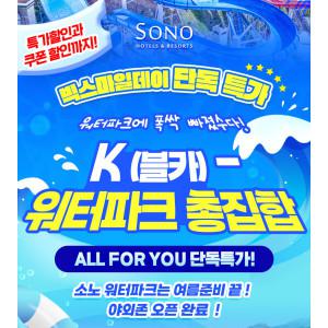 |12%할인| 소노 전 지점 K-워터파크 총집합 /물놀이/오션월드/오션어드벤처/오션플레이