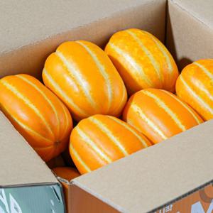 비타민연구소 고당도 성주 꿀참외 2kg 못난이 가정용 평균 15brix 고당도 꿀참외