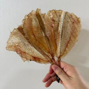 맥주안주 국산 두툼한 꼬리 통뼈 아귀포 250g 450g /25일까지 특별할인 +무료배송