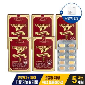 유유제약 더 이상 버티다 간 이중정 밀크씨슬 800mg 30정 5박스 간영양제 비타민B (쇼핑백)