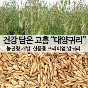 국산 대양 귀리쌀 뉴스에 소개된 프리미엄 품종 1kg