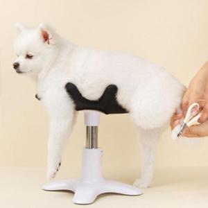 미용도구/강아지 미용 거치대 소형견 목욕 고정 받침대 셀프미용의자 회전테이블 보조대