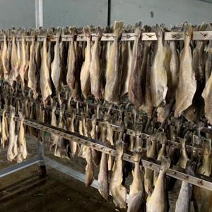 노가리 대구노가리 맥주안주 500g(5~10미) / 특별할인 배송비 무료 이벤트