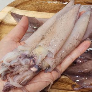 한입 쏙 급냉 한치 1+1 총 1kg / 통찜용 1팩당 500g당 15-25미내외