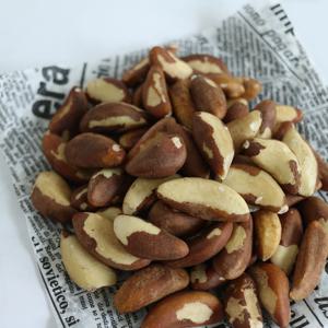 브라질너트 400g 남미의 선물