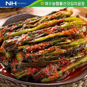 [더싱싱] 여수농협 여수 돌산 갓김치 3kg
