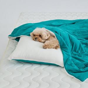 [헬렌스타인] 안티모스키토 팬쿨링 냉감 차렵이불 S