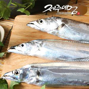 [제주어멍] 제주은갈치 230g X 5마리