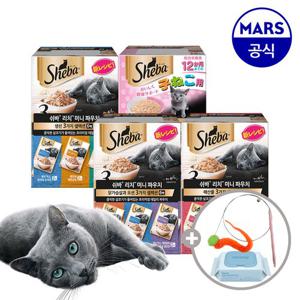쉬바 리치 미니 36gx12개 골라담기+고양이낚시대+물티슈1팩