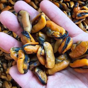 [산정마을] 살이 통통하게 오른 국산 제철 건홍합 500g