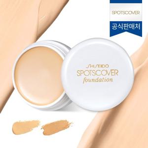 스팟 커버 파운데이션 20g
