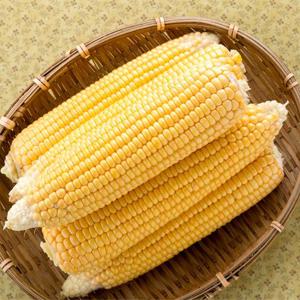 초당옥수수 특품 14~17cm 10개입