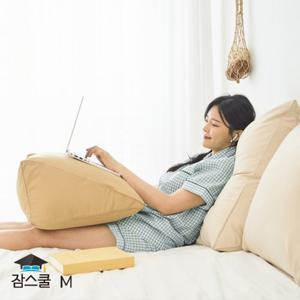 잠스쿨 삼각 등받이쿠션 쇼파 허리 침대 베개 중형