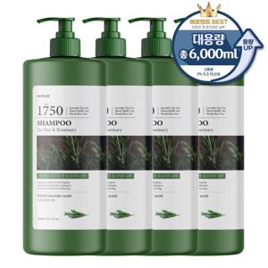 [2+2] 메르헨트 티트리 로즈마리 대용량 샴푸 1500ml x 4개 약산성 퍼퓸 향기좋은 미용실 남자 여자